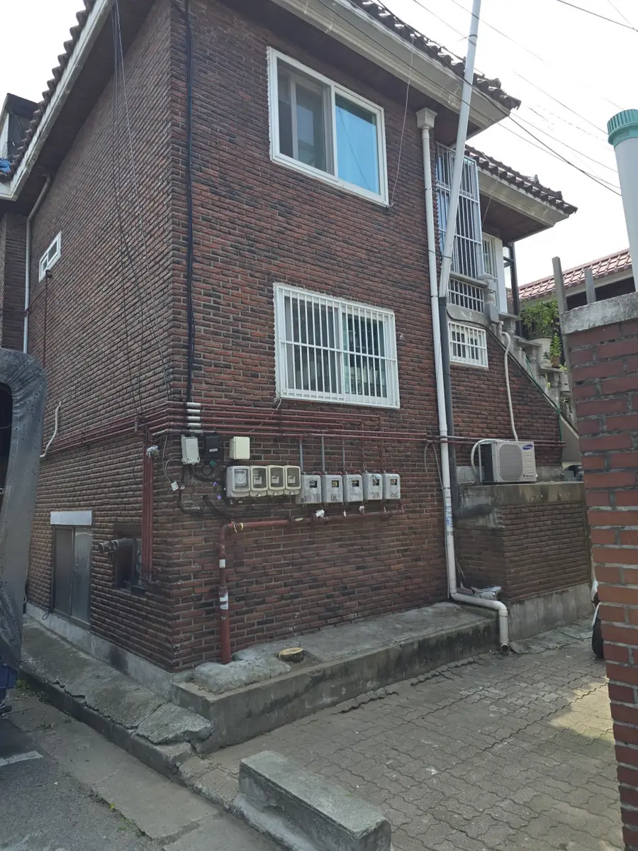 벌목업체 집앞 큰나무 자르기 전문 — 시공 후