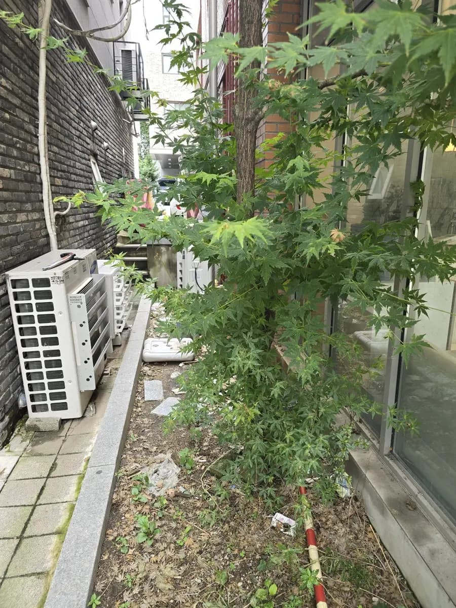화단 자갈 깔기 빌라 조경 관리 시공 사진 2