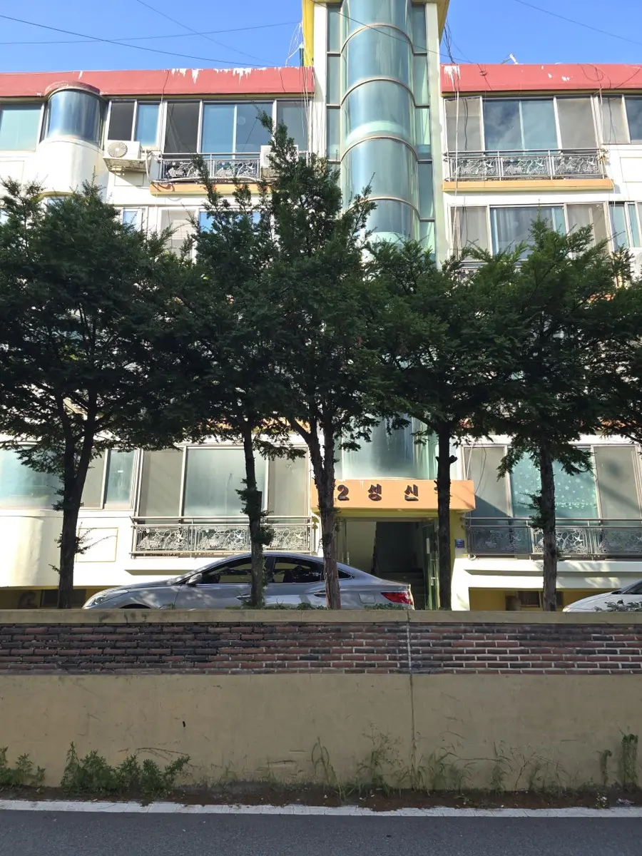 벌목작업 빌라 앞 화단 수목 제거 출입구 시공 사진 3