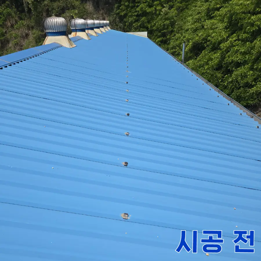 지붕 방수 실리콘 작업 및 강판 보수 — 시공 전