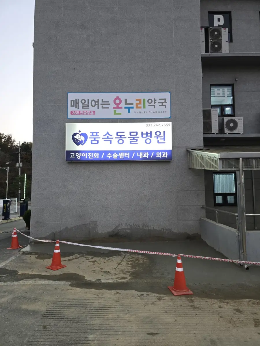 춘천 집수리 화단 레미콘 타설 메꿈 — 시공 후