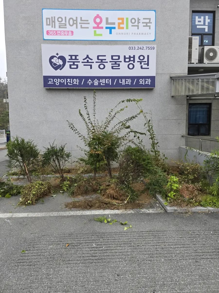 춘천 집수리 화단 레미콘 타설 메꿈 시공 사진 3