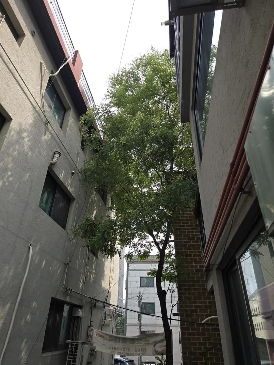 노원구집수리 시공 사진 3