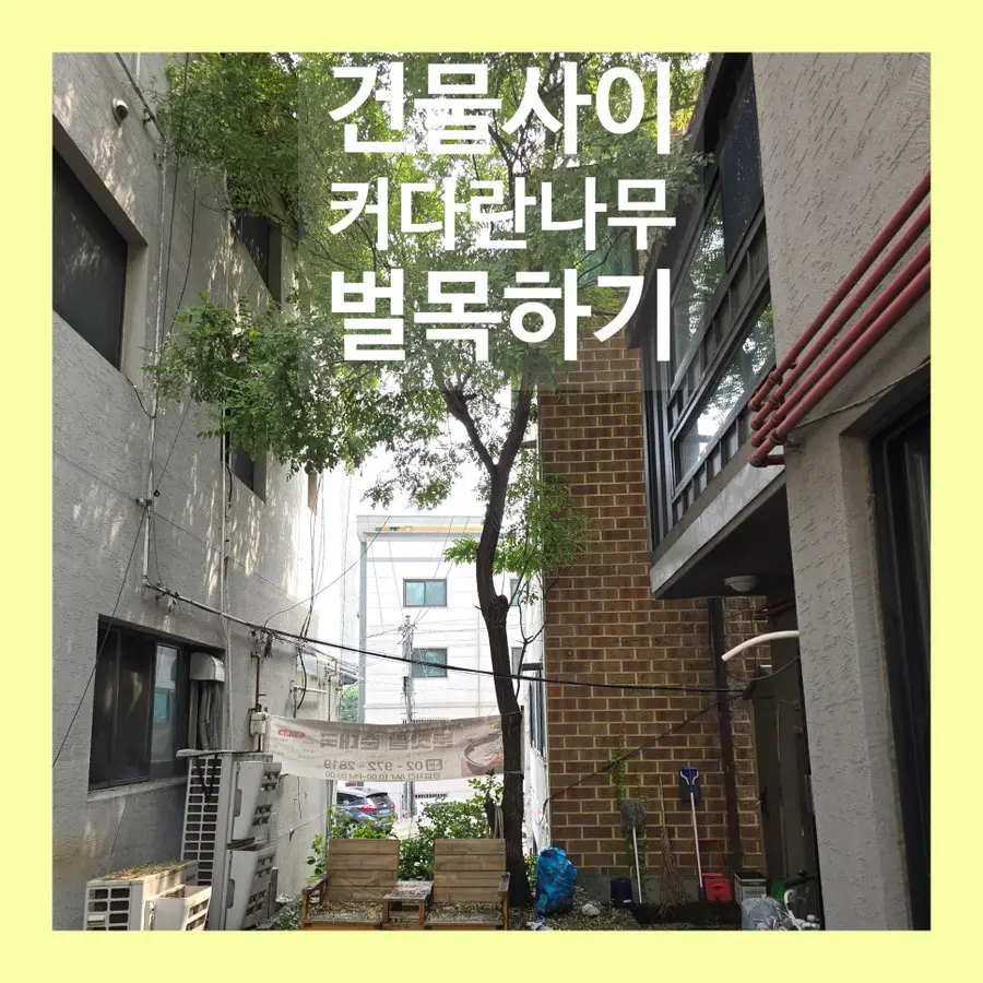 시야방해하는 — 시공 전