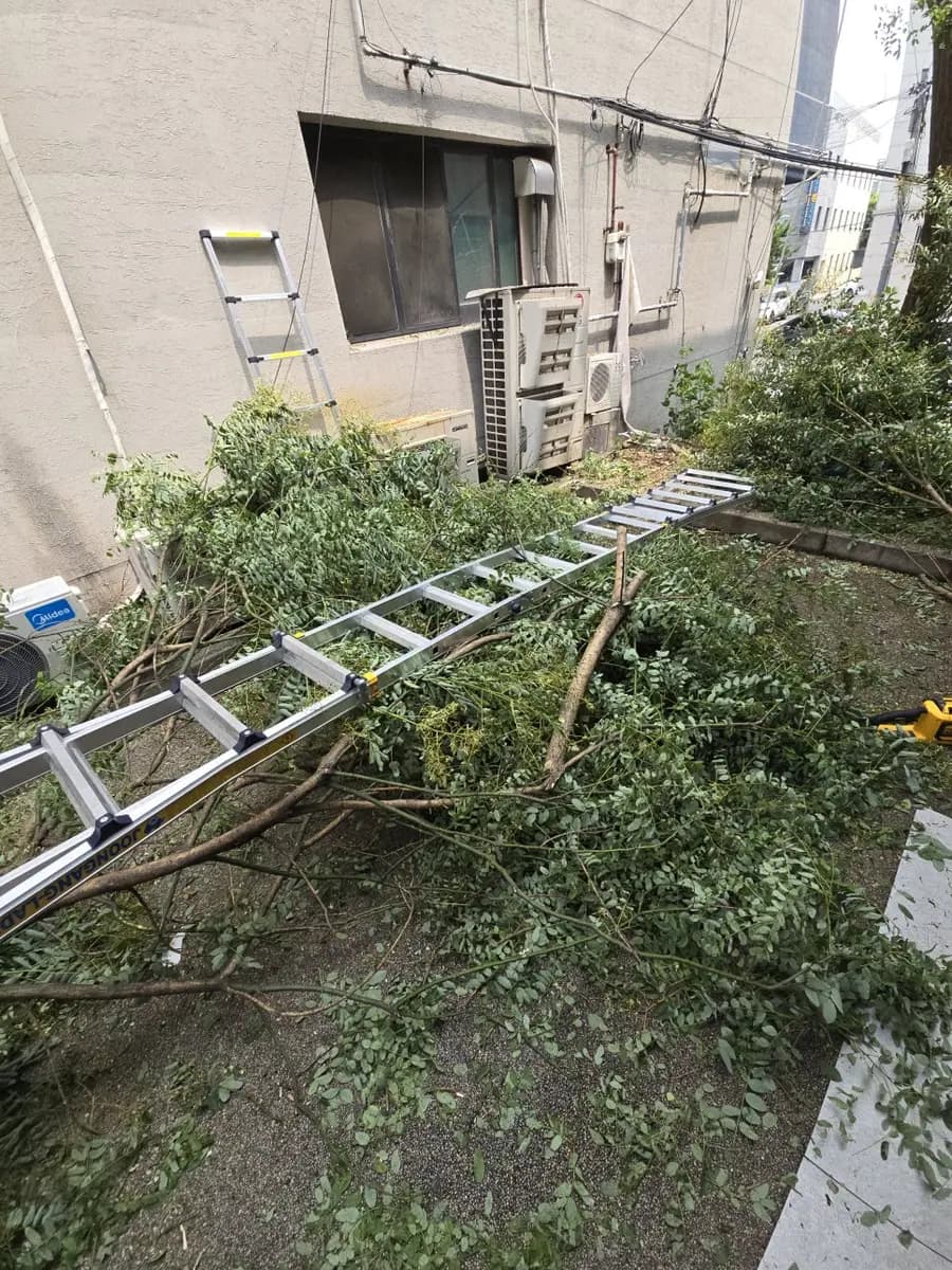 시야방해하는 노원구 시공 사진 46