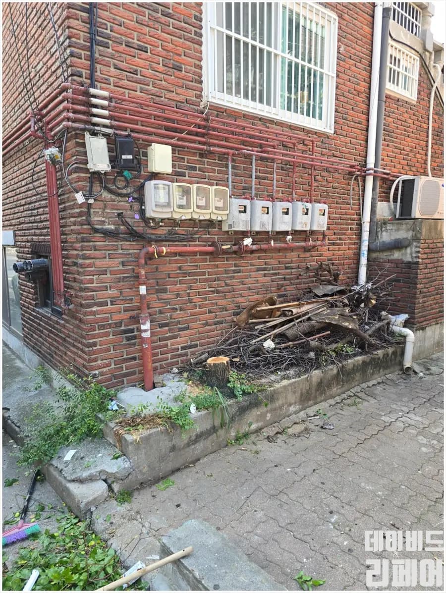 집 앞 나무 벌목 작업|골목길 통행 시공 사진 21